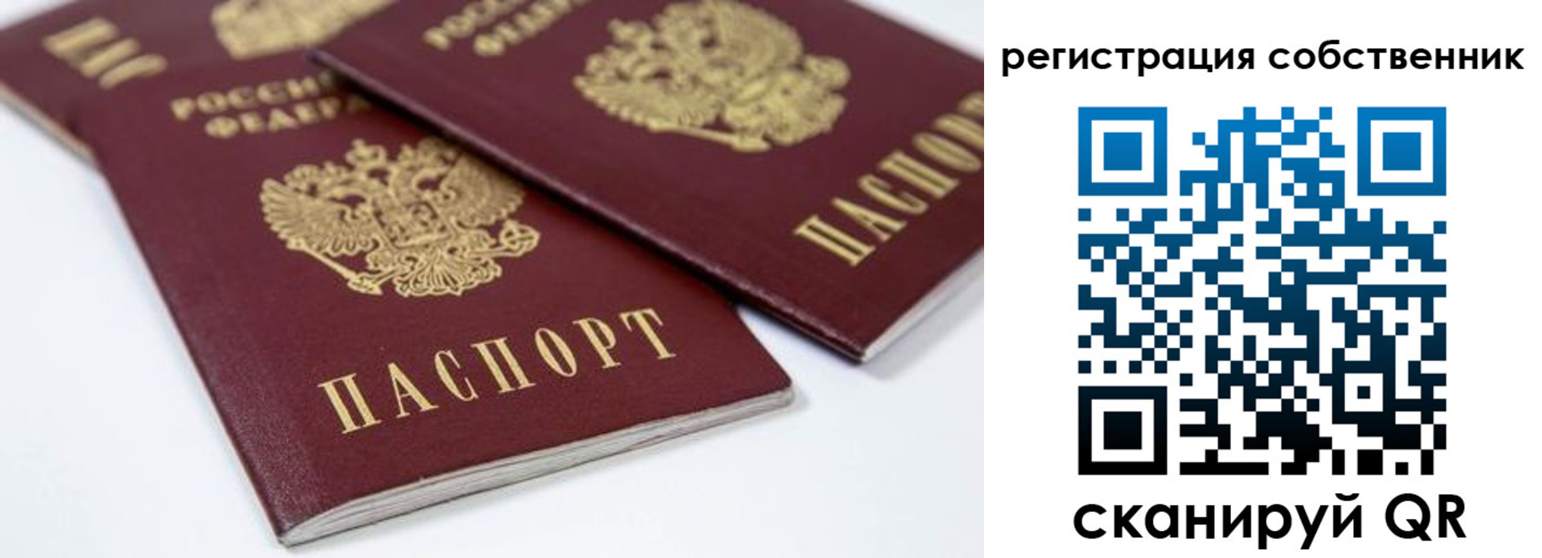 прописка для школы в Сегеже